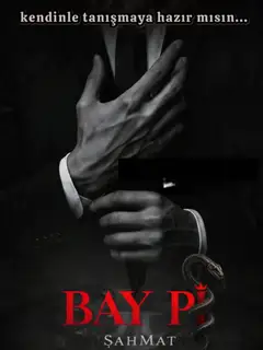 Bay Pi