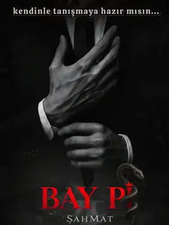 Bay Pi