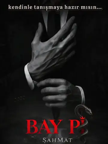 Bay Pi
