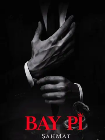 Bay Pi