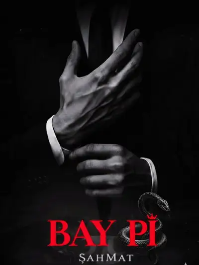 Bay Pi