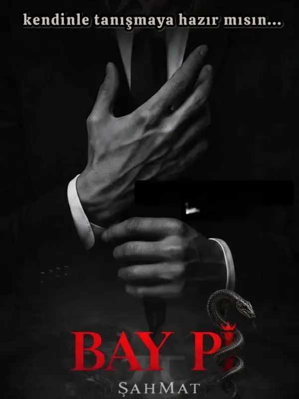 Bay Pi